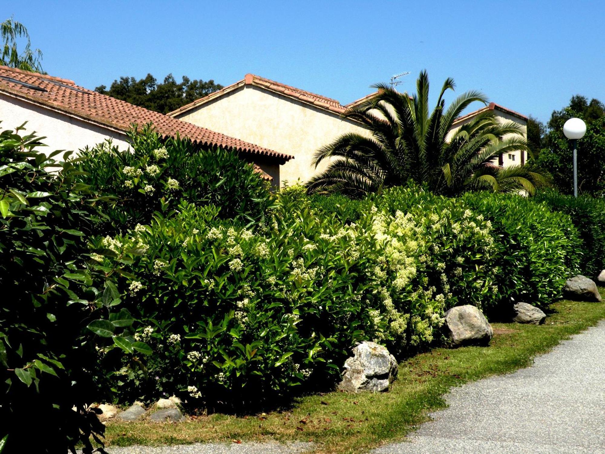 Residence De Tourisme Marina Corsa Ghisonaccia Bagian luar foto